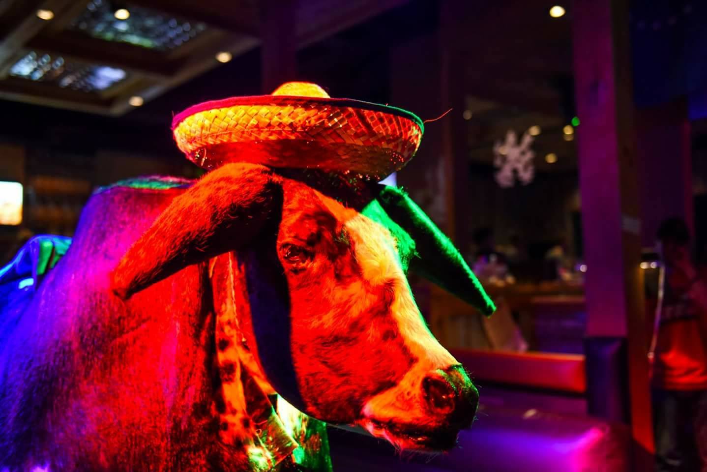 Fiesta Cinco De Mayo Bull